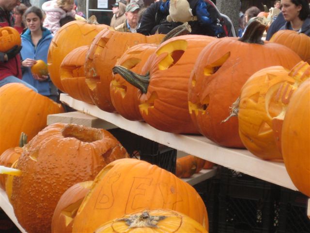 pumpkin fest 100