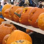 pumpkin fest 100