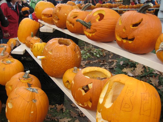 pumpkin fest 101