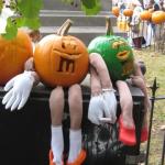 pumpkin fest 109