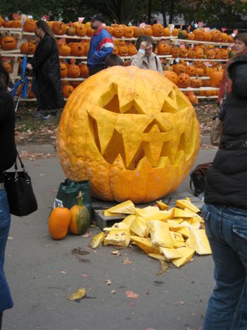 pumpkin fest 111