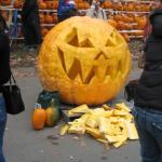 pumpkin fest 111