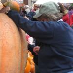 pumpkin fest 112