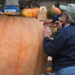 pumpkin fest 114