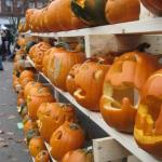 pumpkin fest 117