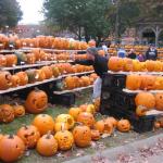 pumpkin fest 134