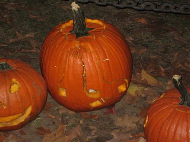 pumpkin fest 157