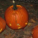 pumpkin fest 157