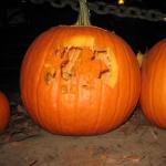 pumpkin fest 158