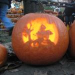 pumpkin fest 159