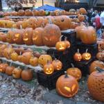 pumpkin fest 161