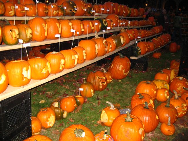 pumpkin fest 165