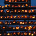 pumpkin fest 177