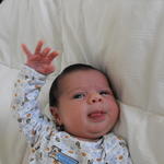 3 weeks old