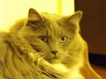 DSCF0053