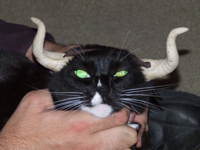 DSCF9159.JPG