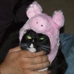 DSCF9165.JPG
